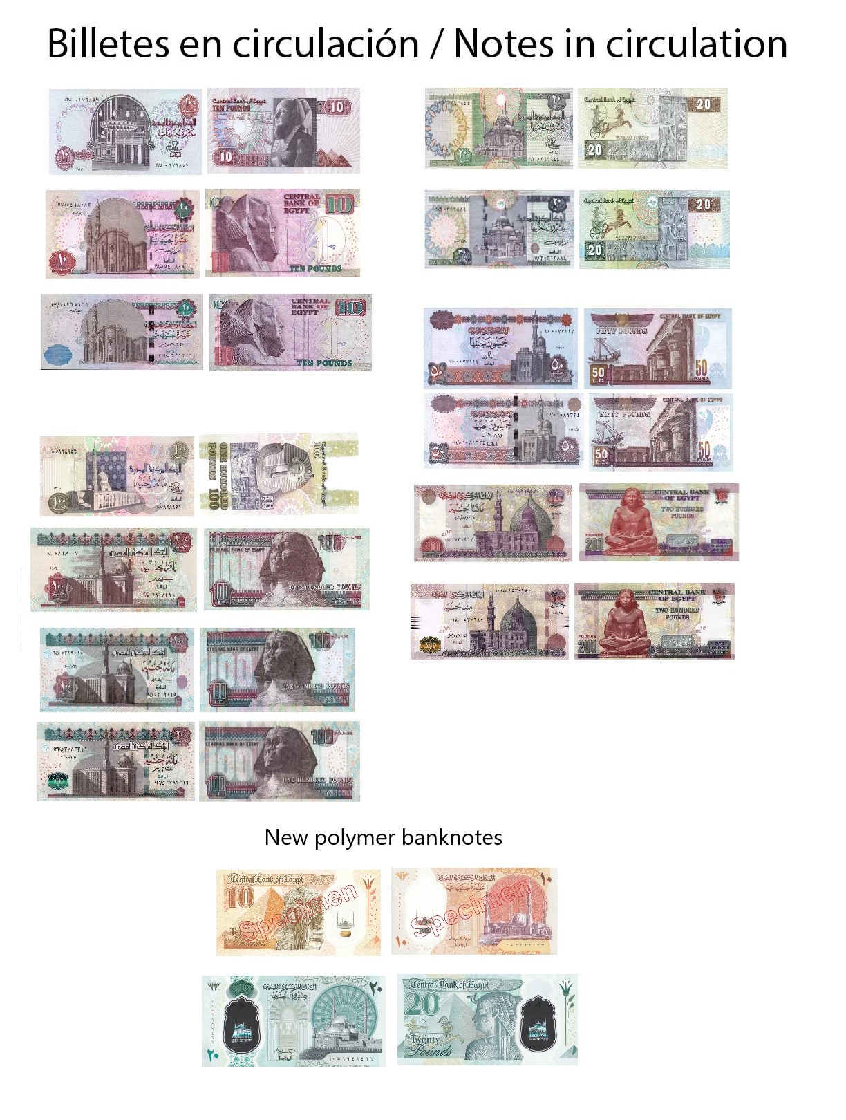 Billetes de libra Egipcia en circulación