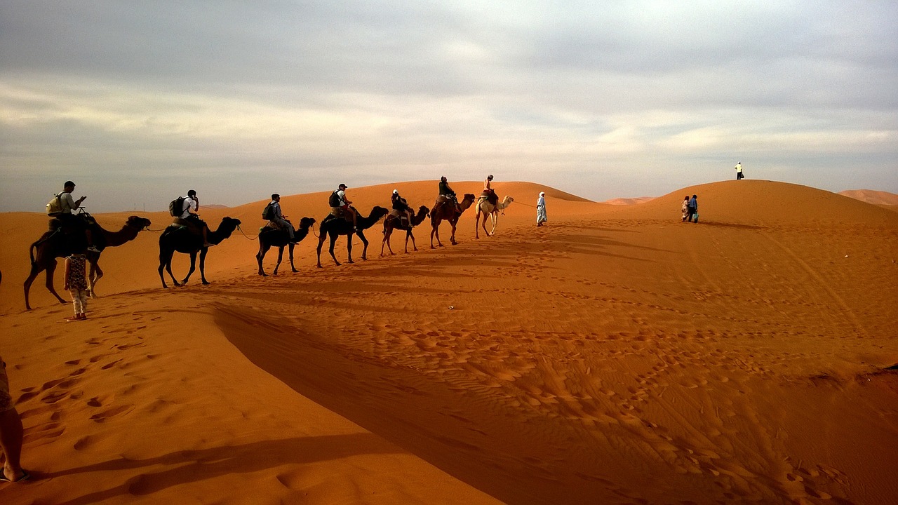 Excursión por el desierto